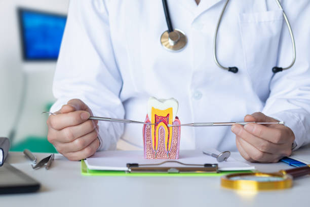 Best Knocked-Out Tooth (Avulsed Tooth) Treatment in Scenic, AZ